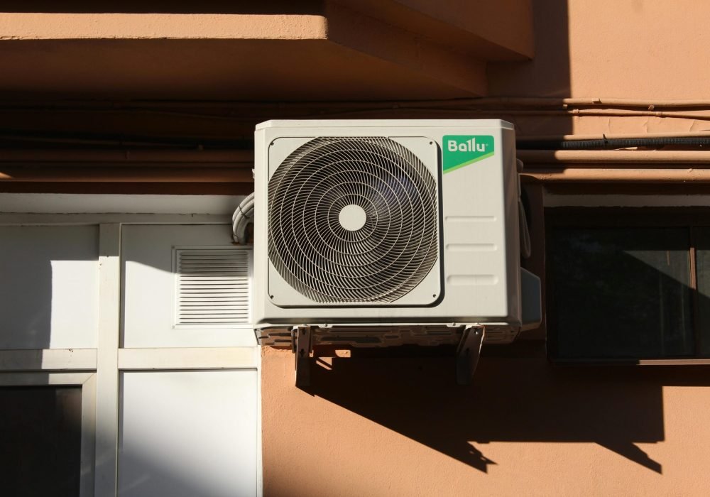 pexels-paolo-rossa-1121474291-24828656